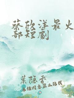 蔡欣洋最火的三部短剧