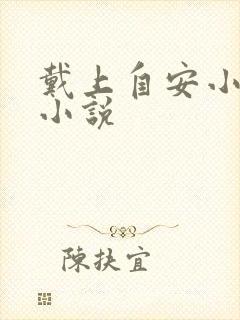 戴上自安小玩具小说
