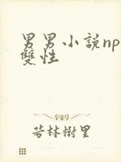 男男小说nph双性
