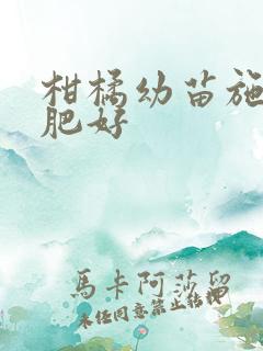 柑橘幼苗施什么肥好