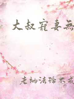 大叔宠妻无度