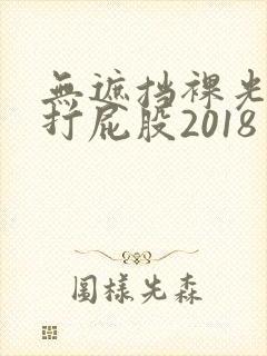 无遮挡裸光屁屁打屁股2018