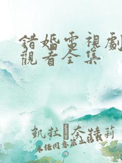 错婚电视剧免费观看全集