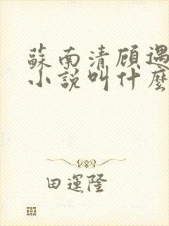 苏南清顾遇深的小说叫什么名字