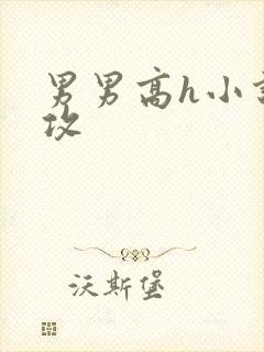 男男高h小说总攻