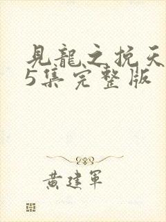 见龙之挽天倾65集完整版