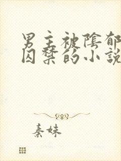 男主被阴郁疯批囚禁的小说