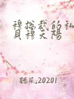 穆总裁的私有宝贝穆天阳