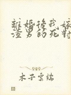 离婚后我嫁给了渣男的死对头