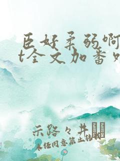 臣好柔弱啊txt全文加番外