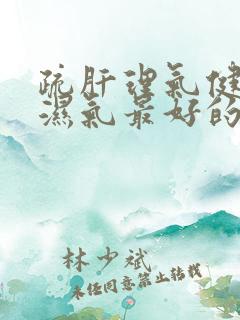 疏肝理气健脾去湿气最好的中成药