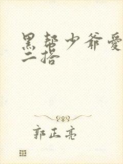黑帮少爷爱上我二搭
