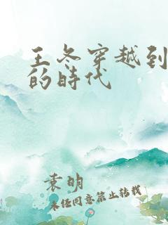 王冬穿越到唐三的时代