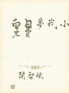 白日梦我小说版免费