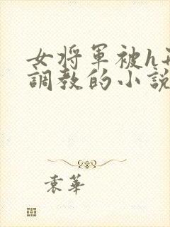 女将军被h刑具调教的小说