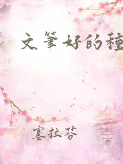 文笔好的种田文