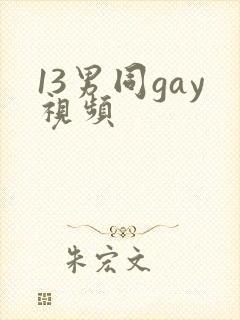13男同gay视频