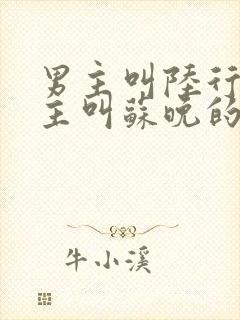 男主叫陆行简女主叫苏晚的小说名字