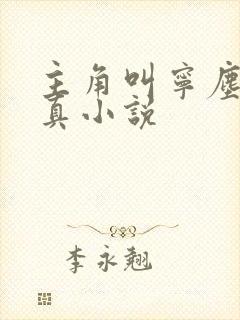 主角叫宁尘的修真小说