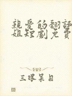 亲爱的翻译官小姐短剧免费完整版