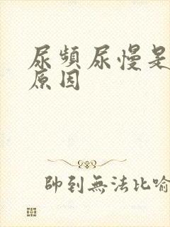 尿频尿慢是什么原因
