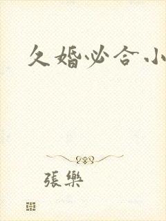 久婚必合小说