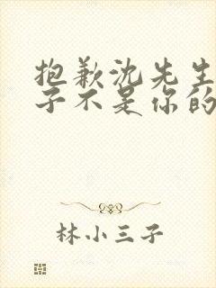 抱歉沈先生,孩子不是你的 短剧