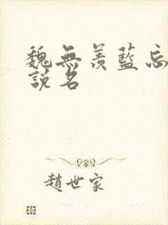 魏无羡蓝忘机小说名