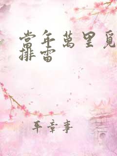 当年万里觅封侯排雷