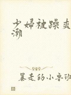 少妇被躁爽到高潮