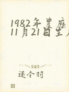 1982年农历11月21日生辰八字