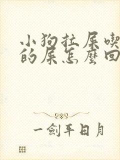 小狗拉屎吃自己的屎怎么回事