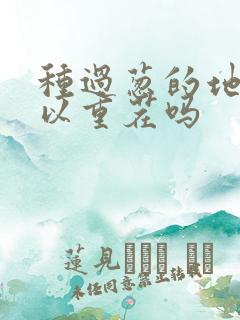 种过葱的地方可以重茬吗