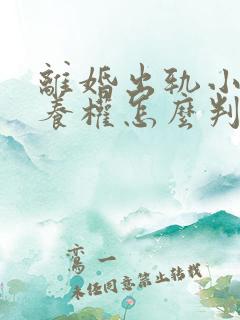离婚出轨小孩抚养权怎么判