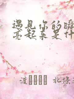 遇见你的瞬间明亮起来是什么歌