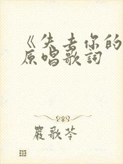 《失去你的我》原唱歌词