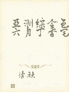 亚洲综合色婷婷六月丁香宅男大增