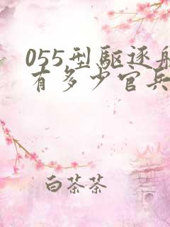 055型驱逐舰有多少官兵