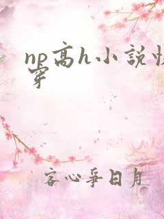 np高h小说快穿
