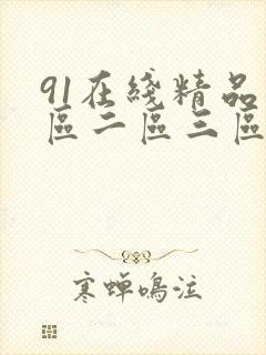 91在线精品一区二区三区