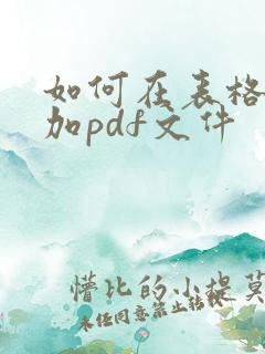 如何在表格中添加pdf文件