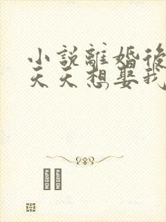小说离婚后霸总天天想娶我免费阅读