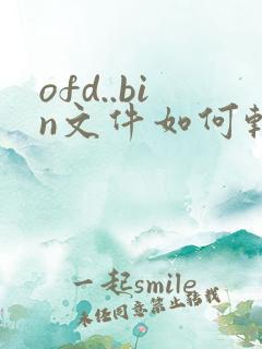 ofd..bin文件如何转换成pdf格式
