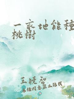 一亩地能种多少桃树