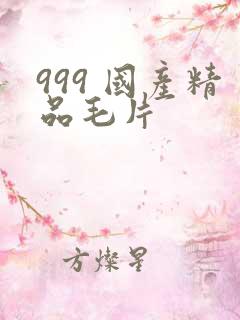 999 国产精品毛片