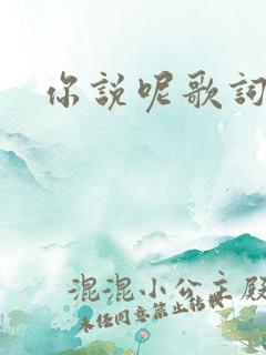 你说呢歌词