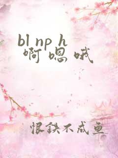 bl np h 啊 嗯 哦