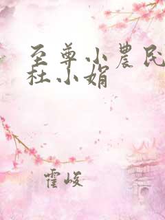 至尊小农民王鸣杜小娟