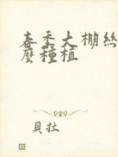 春季大棚丝瓜怎么种植