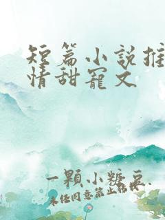 短篇小说推荐言情甜宠文